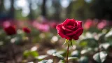 Test blog gallery 04